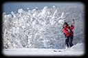 L’évasion snowkite, loin des pistes de skis